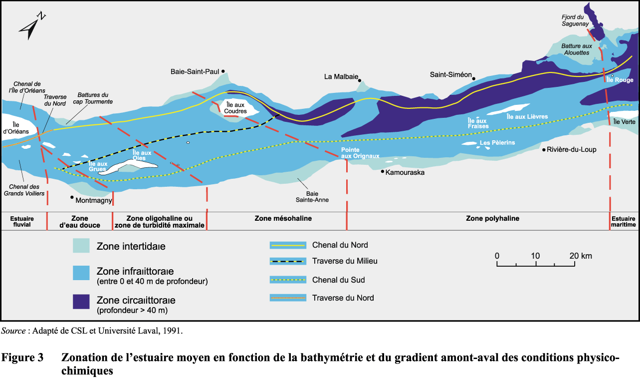 Carte du Saint-Laurent entre l'île d'Orléans et l'embouchure du Saguenay.