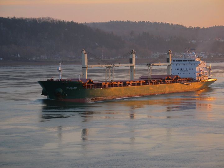 Vraquier Mandarin, Limassol. IMO 9239812.