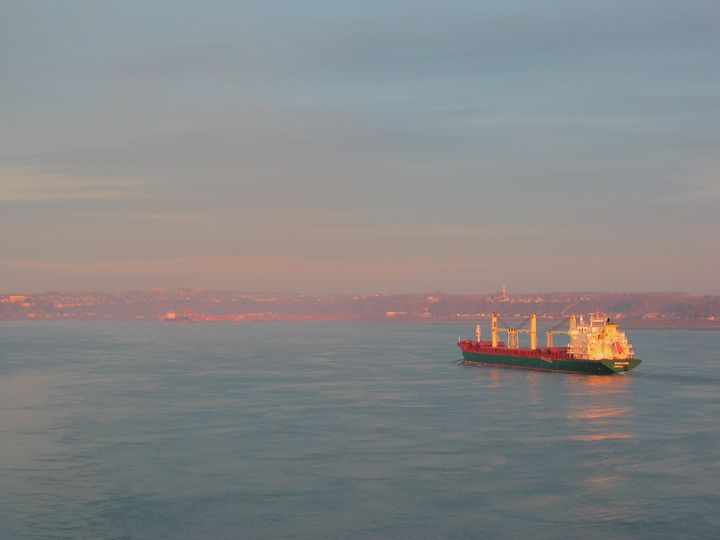 Vraquier Mandarin, Limassol. IMO 9239812.